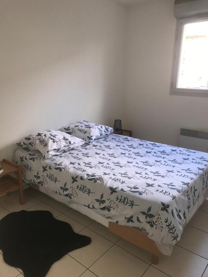 Appartement Entier T2 Avec Piscine Paradis Entierement Meuble Proche Metro Тулуза Экстерьер фото