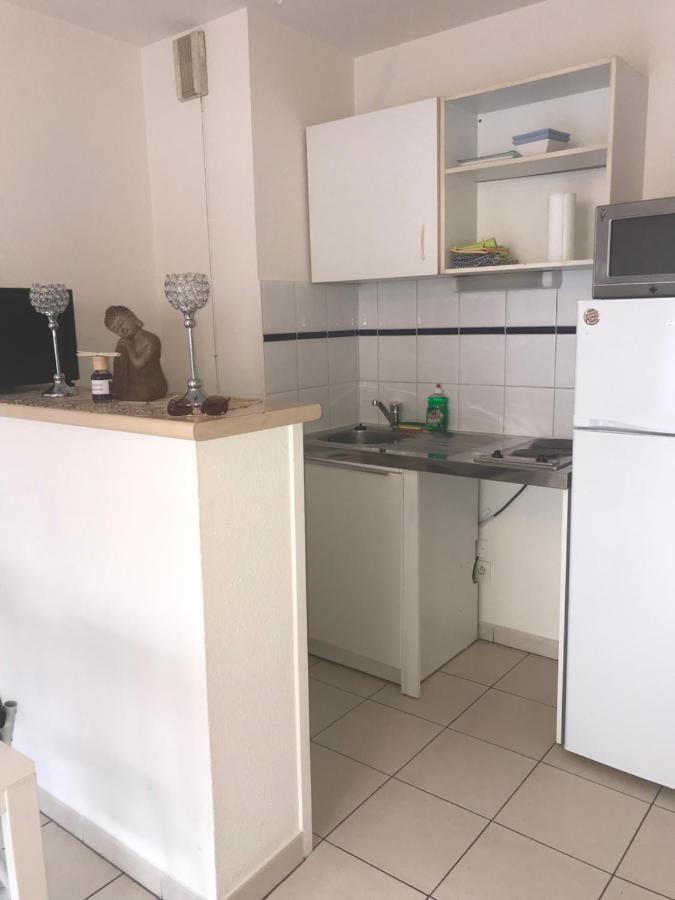 Appartement Entier T2 Avec Piscine Paradis Entierement Meuble Proche Metro Тулуза Экстерьер фото