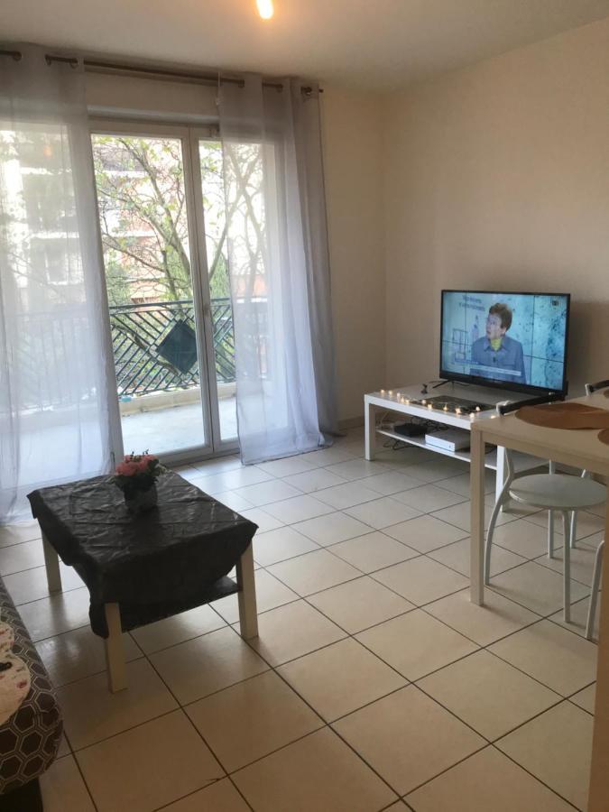 Appartement Entier T2 Avec Piscine Paradis Entierement Meuble Proche Metro Тулуза Экстерьер фото